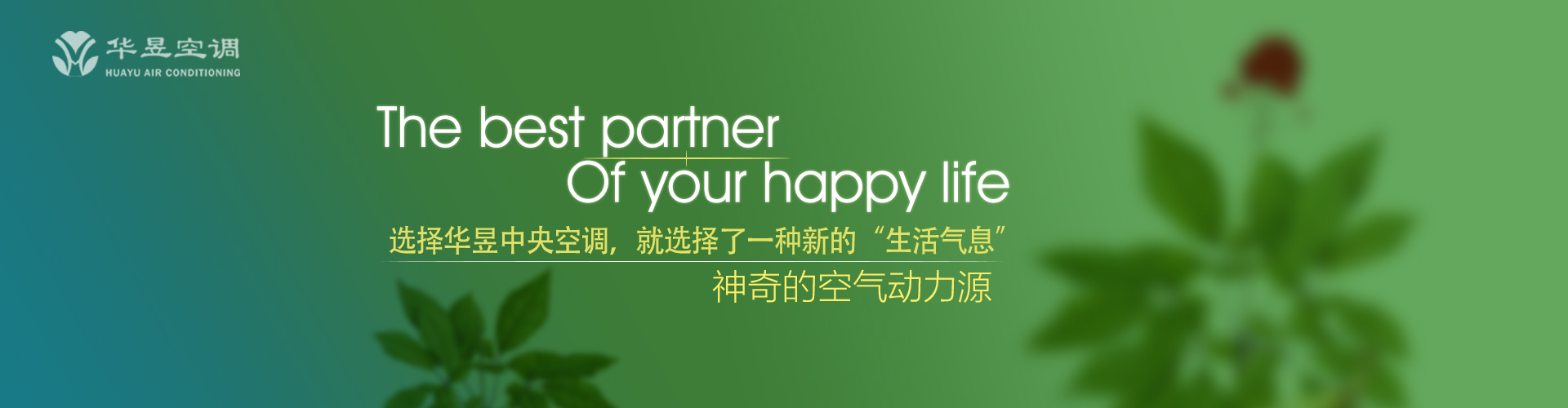 凭白无故网